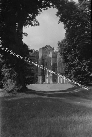 ABBEY BY EVENING LIGHT